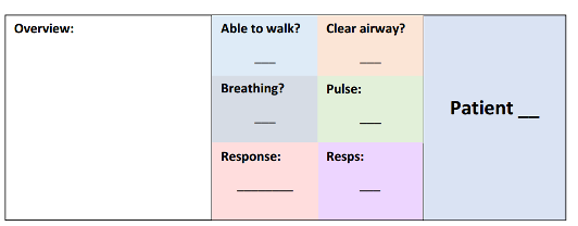 Image of the blank patient triage card